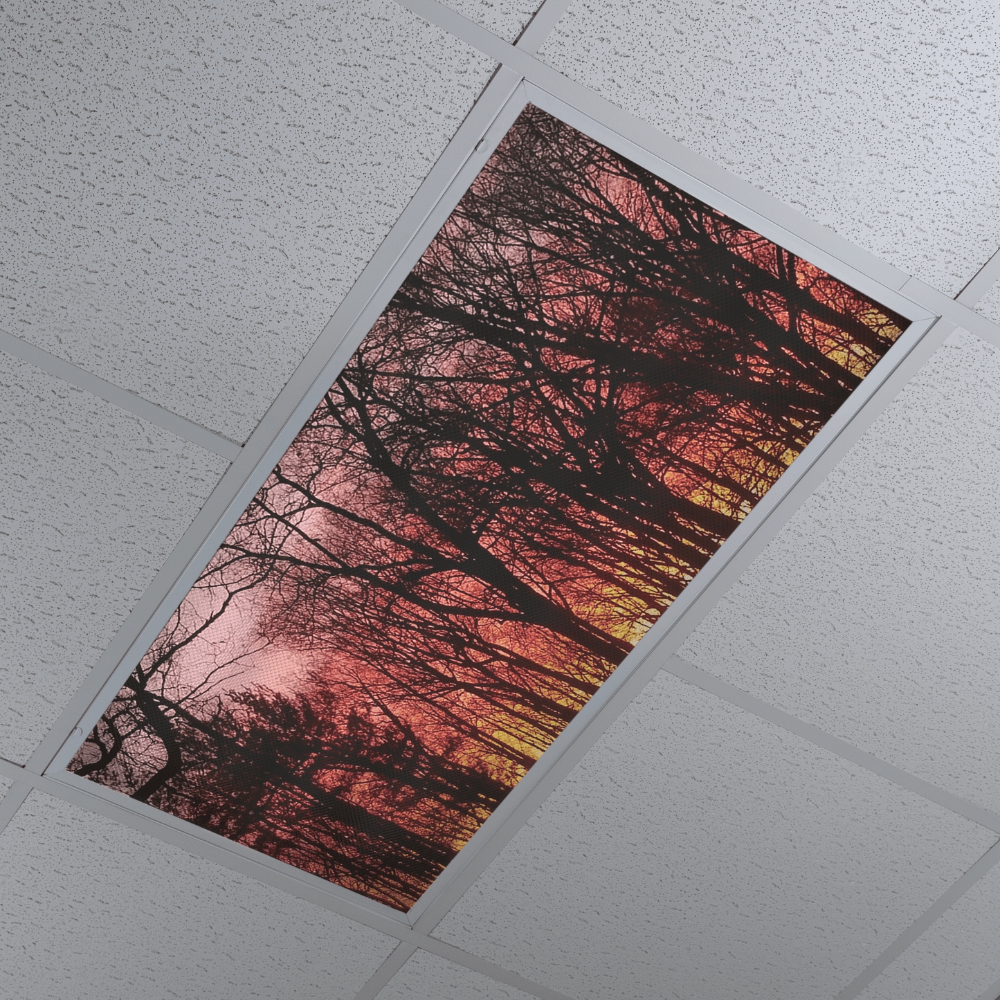 DesignScape - 2'x4' Sunset in the Woods - Apollo Design Made