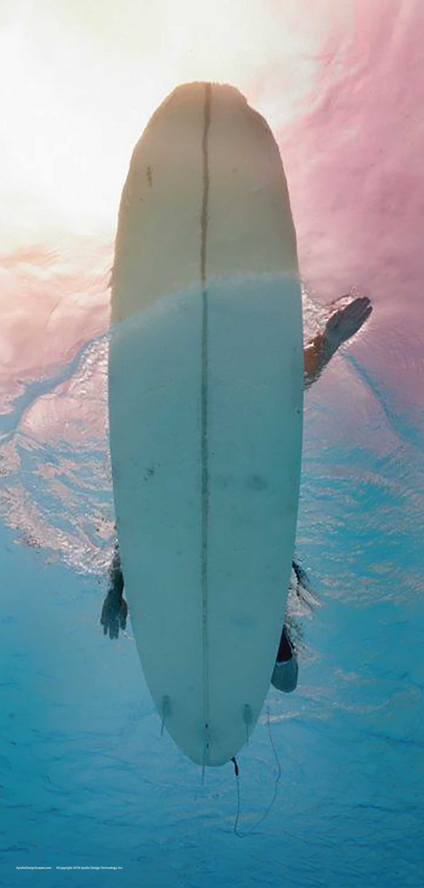 DesignScape - 2'x4' Surf's Up - Apollo Design Made