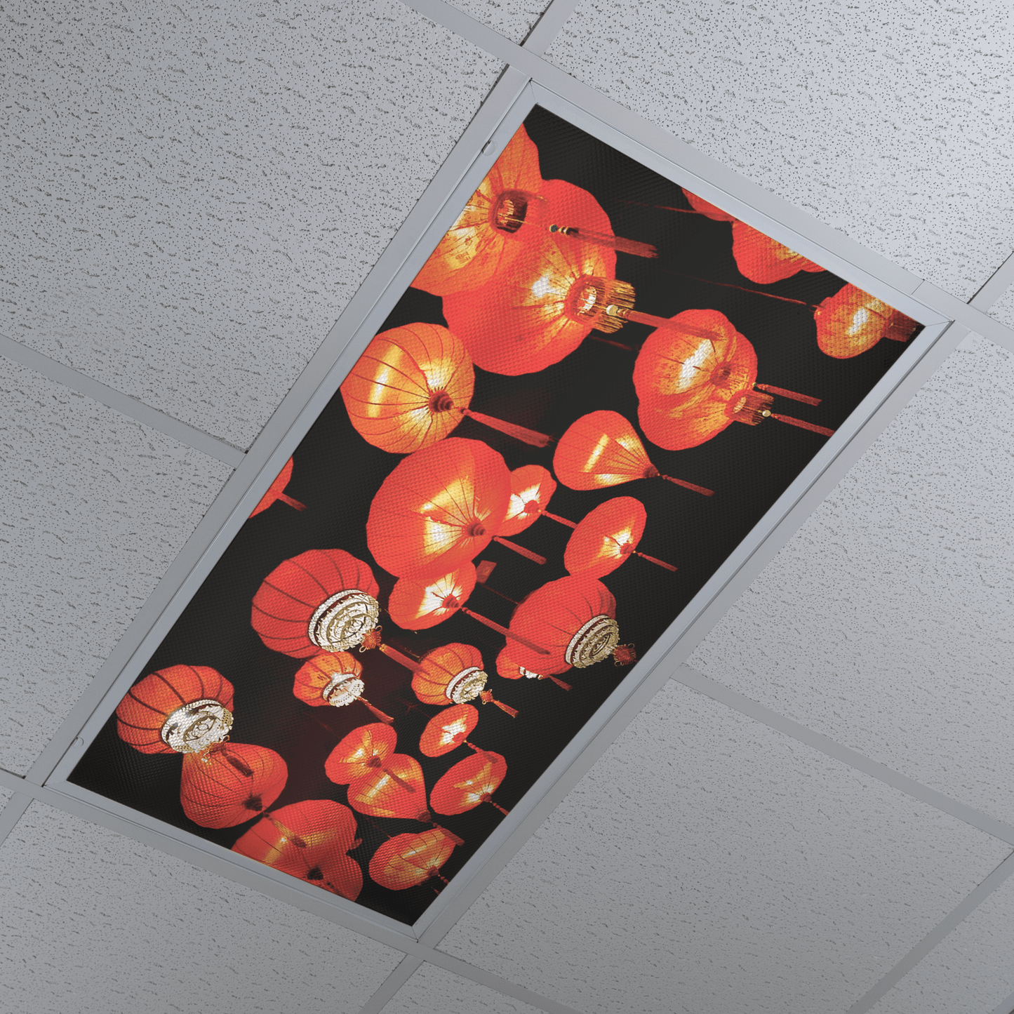 DesignScape - 2'x4' Sushi Lights - Apollo Design Made