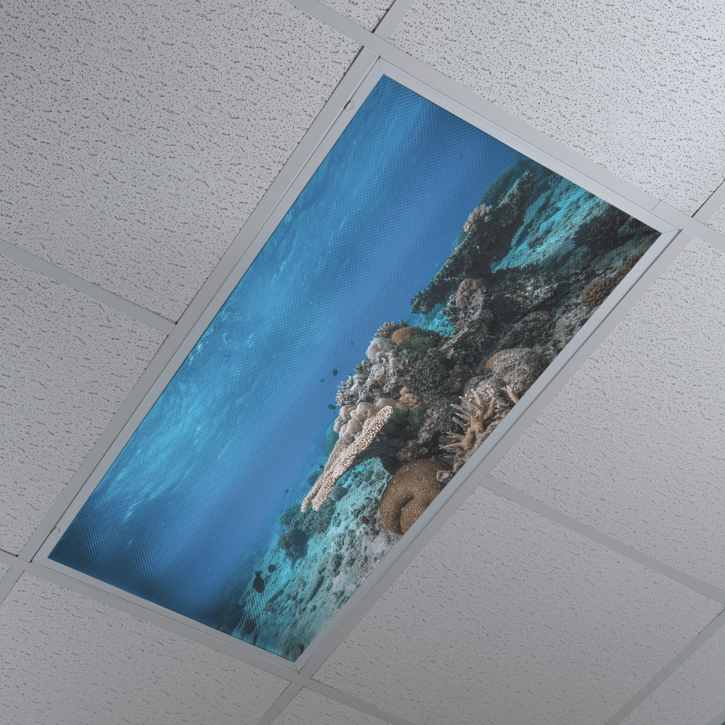 DesignScape - 2'x4' T. Park Coral Bommie - Apollo Design Made