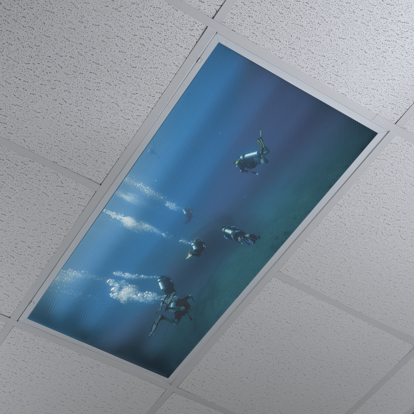 DesignScape - 2'x4' T. Park Entering The Blue - Apollo Design Made