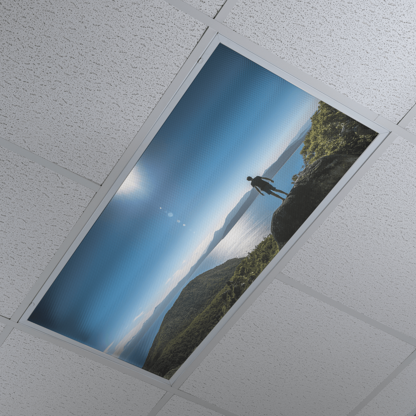 DesignScape - 2'x4' T. Park Fitzroy Island - Apollo Design Made