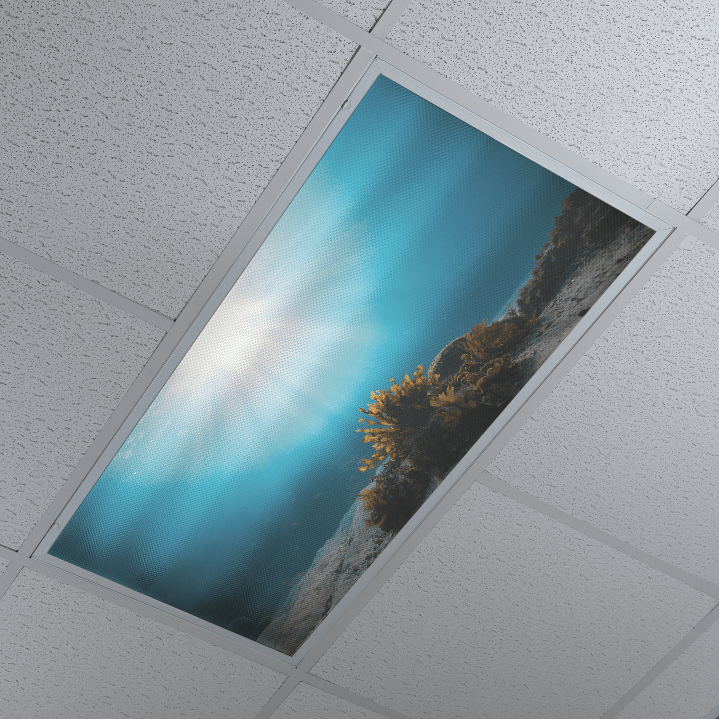 DesignScape - 2'x4' T. Park Great Barrier Dawn - Apollo Design Made