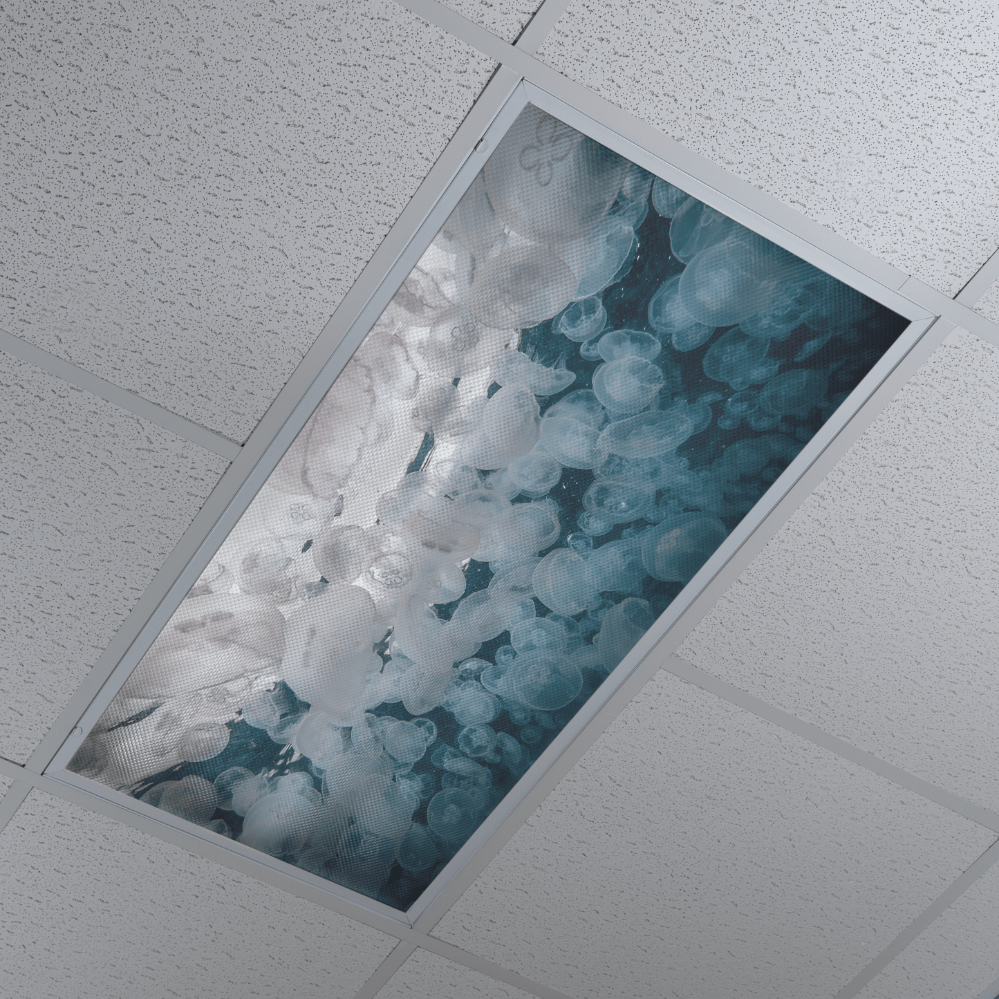 DesignScape - 2'x4' T. Park Moon Jellyfish Wall - Apollo Design Made