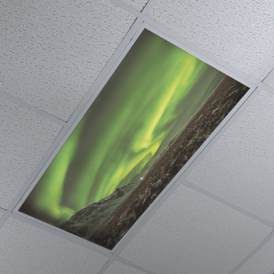 DesignScape - 2'x4' T. Park Northern Lights Mountain - Apollo Design Made