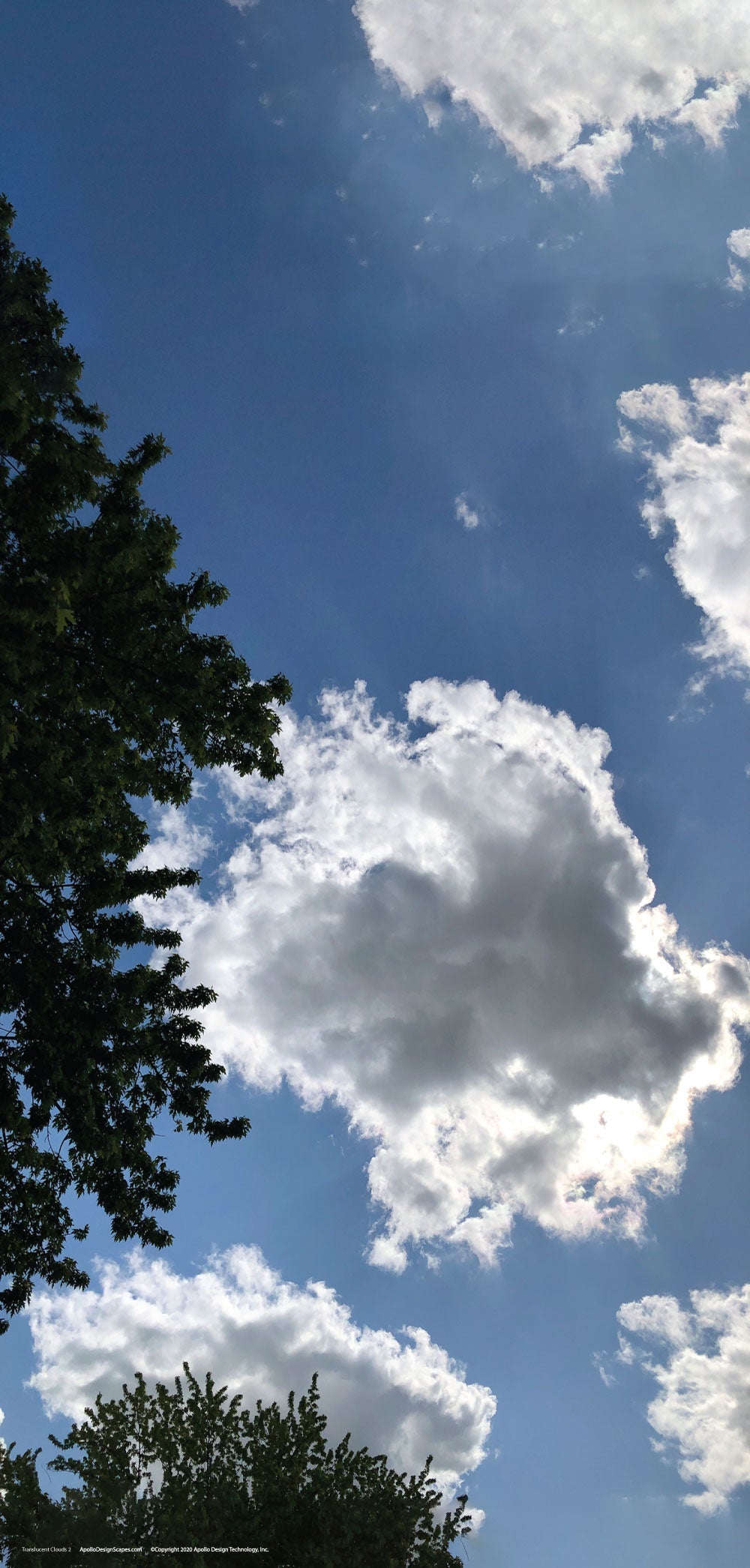 DesignScape - 2'x4' Translucent Clouds 2 - Apollo Design Made