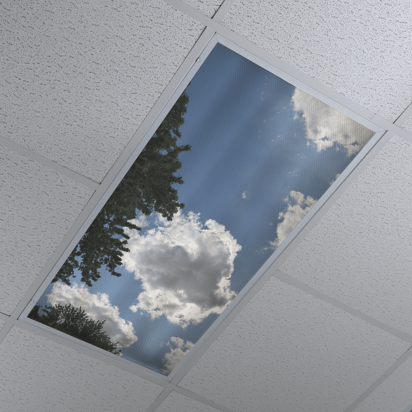 DesignScape - 2'x4' Translucent Clouds 2 - Apollo Design Made