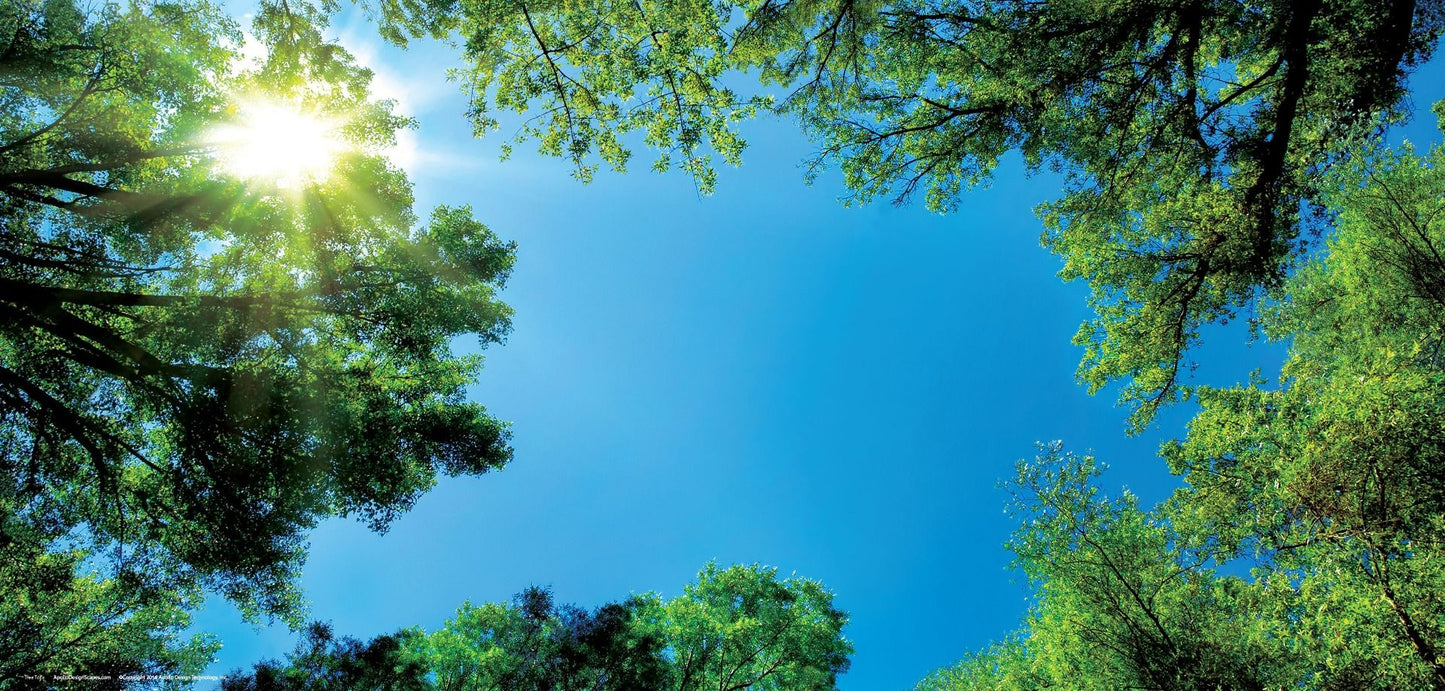 DesignScape - 2'x4' Tree Tops - Apollo Design Made