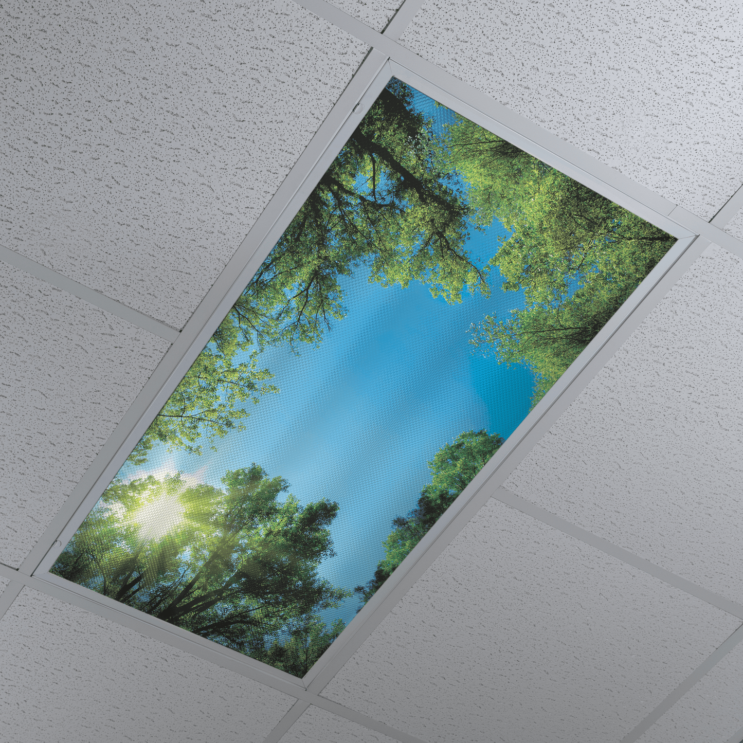 DesignScape - 2'x4' Tree Tops - Apollo Design Made