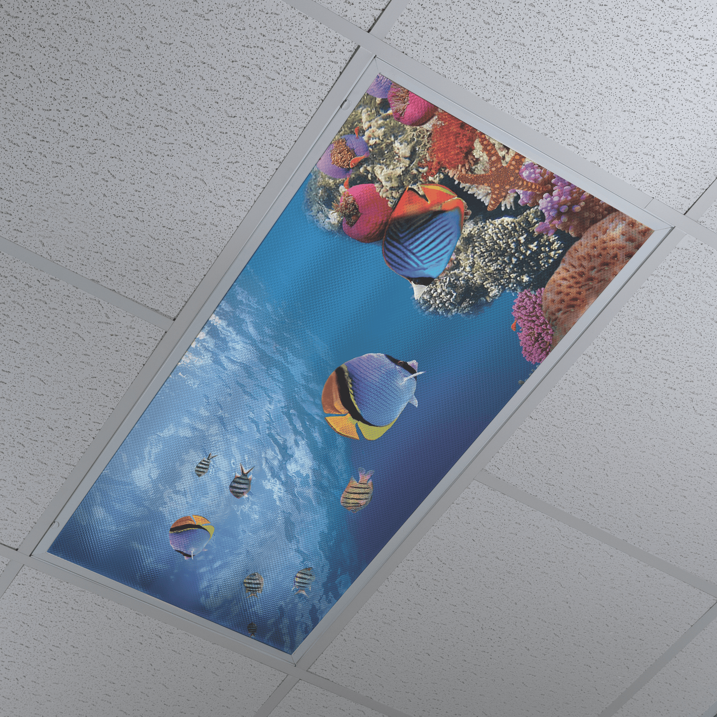 DesignScape - 2'x4' Tropical Fish - Apollo Design Made