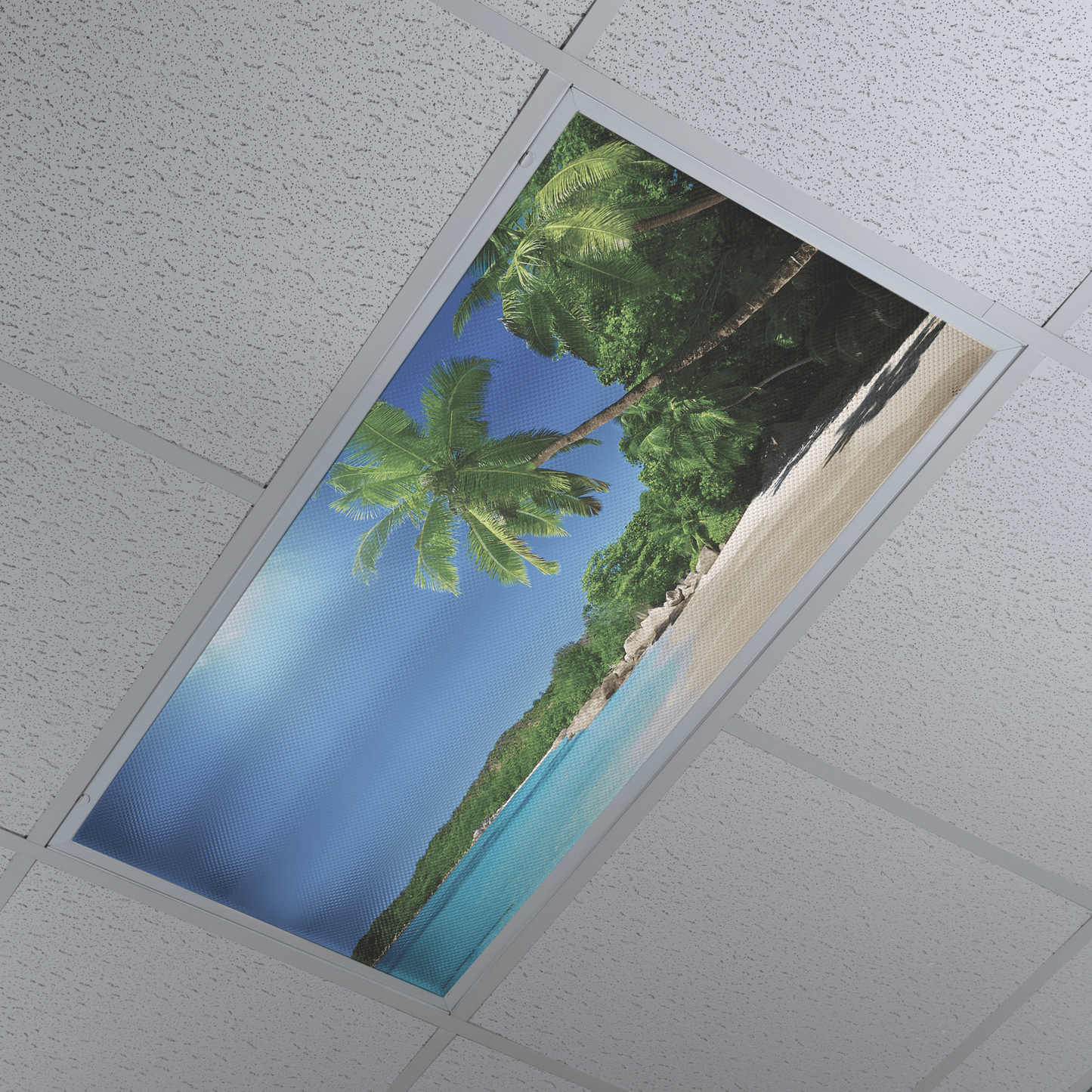 DesignScape - 2'x4' Tropical Paradise - Apollo Design Made
