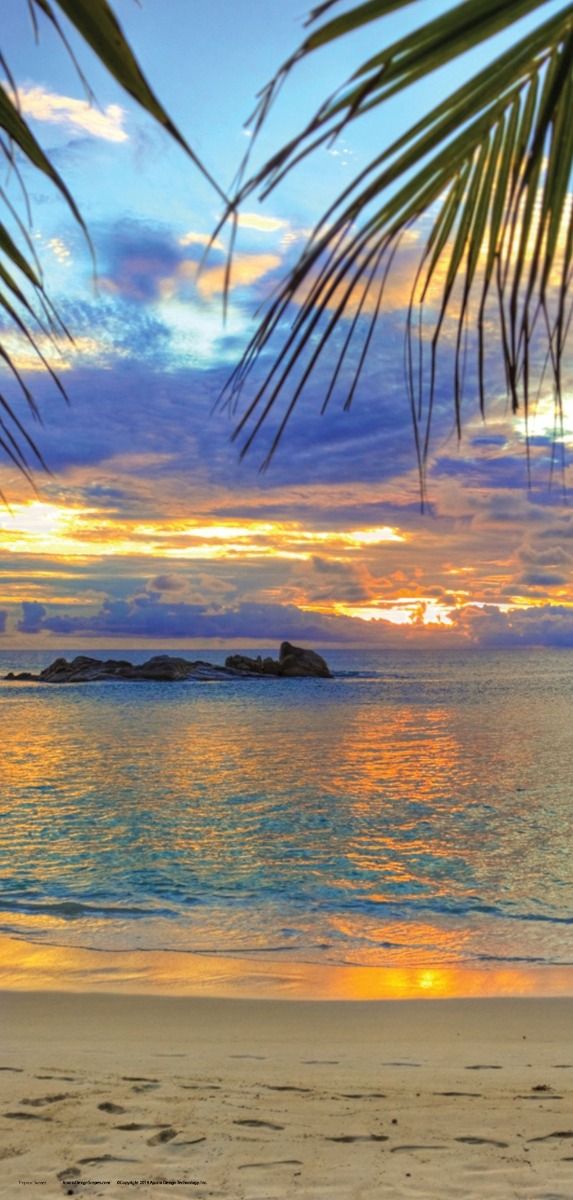 DesignScape - 2'x4' Tropical Sunset - Apollo Design Made