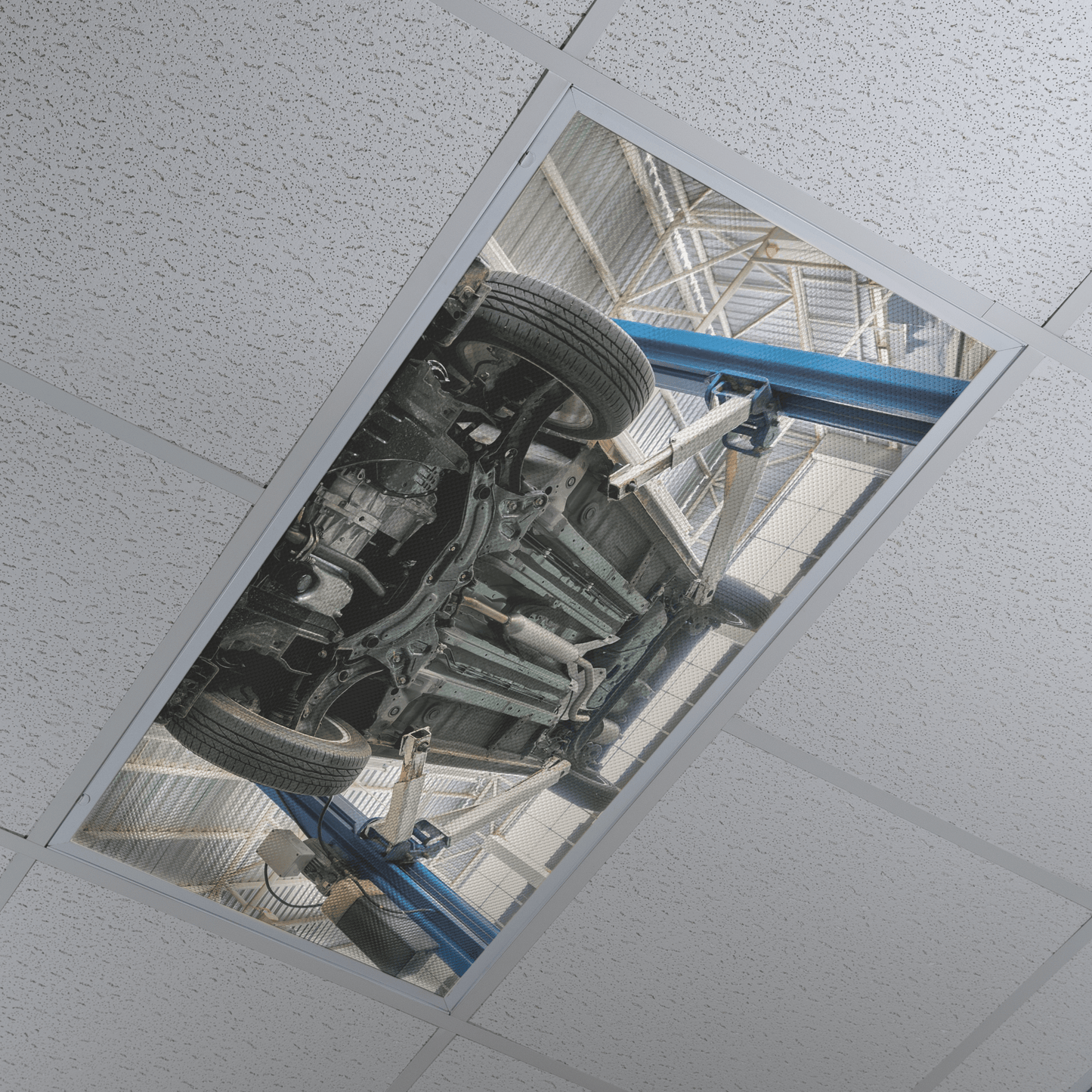 DesignScape - 2'x4' Underbody - Apollo Design Made