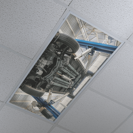 DesignScape - 2'x4' Underbody - Apollo Design Made