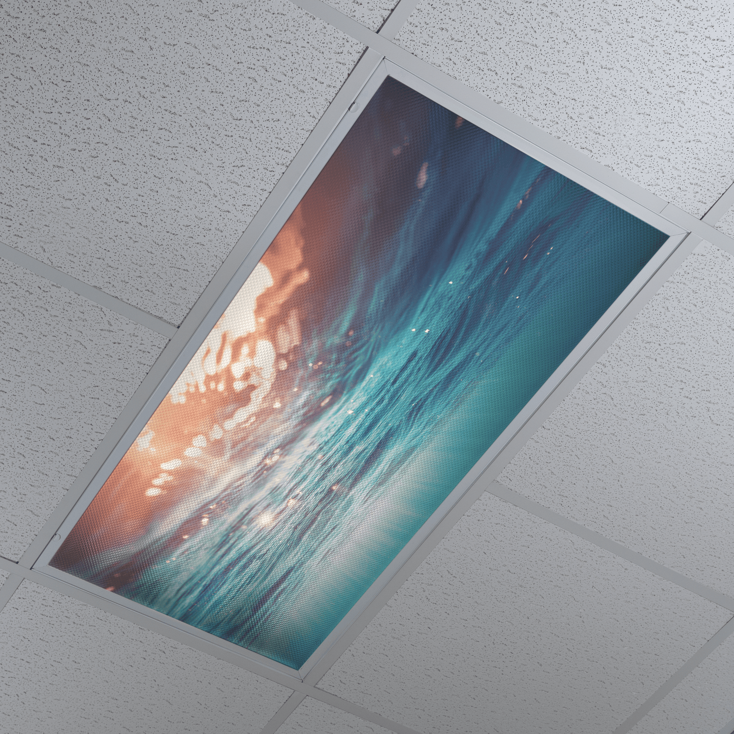 DesignScape - 2'x4' Underwater View - Apollo Design Made