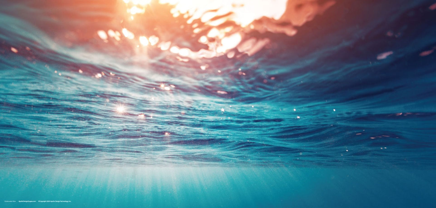 DesignScape - 2'x4' Underwater View - Apollo Design Made