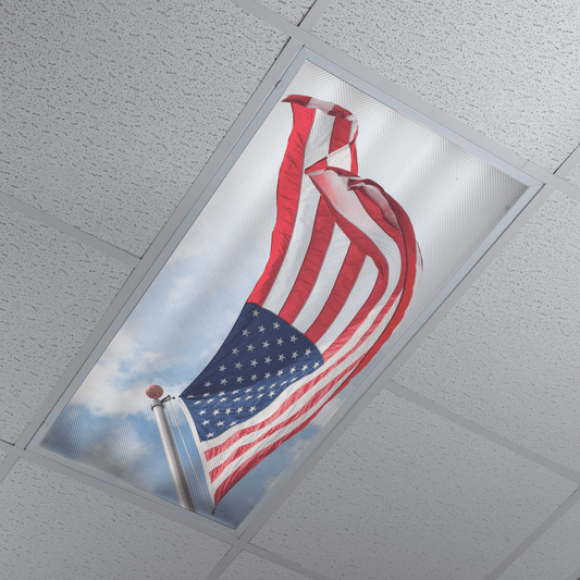 DesignScape - 2'x4' USA Flag Looking Up - Apollo Design Made