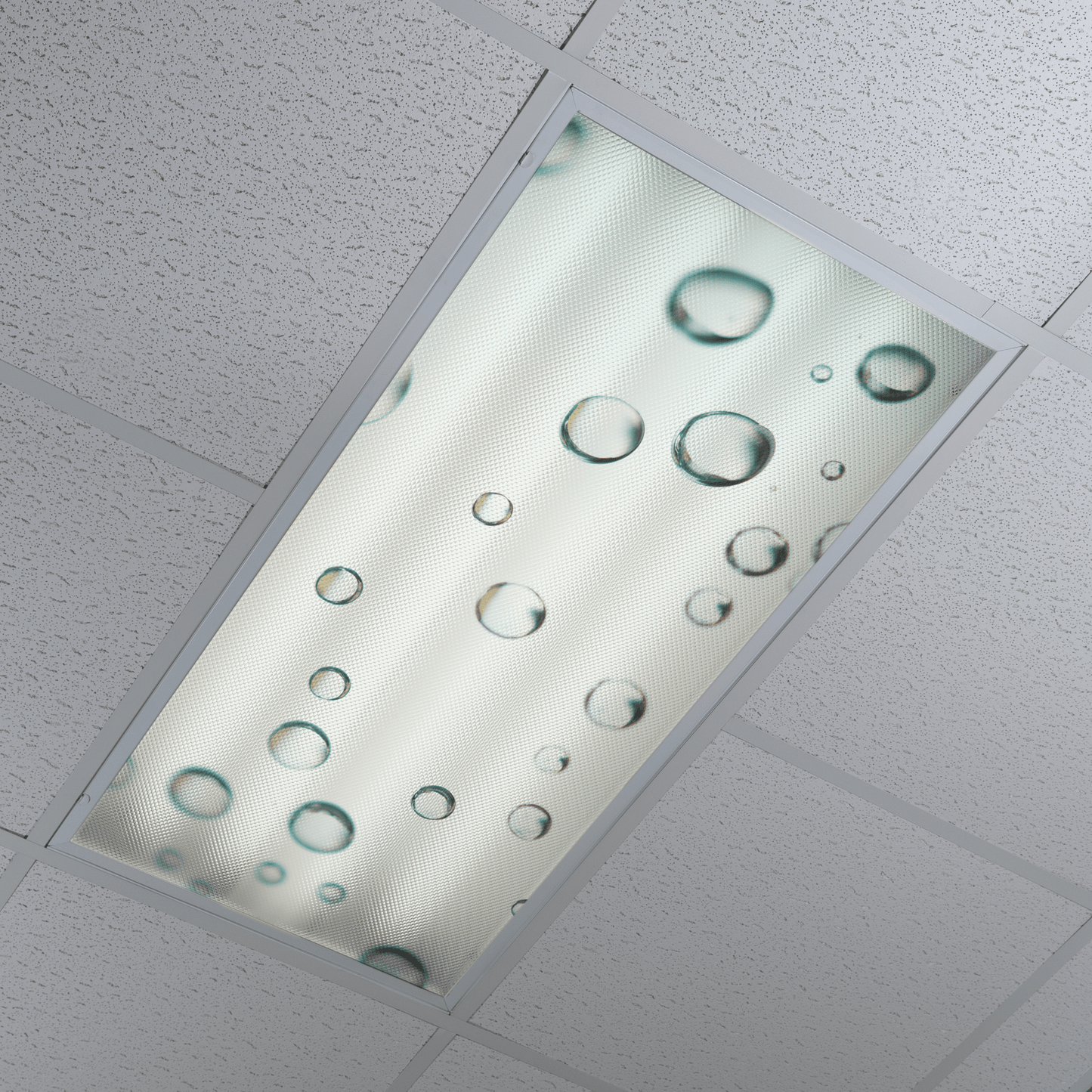 DesignScape - 2'x4' Water Drops - Apollo Design Made