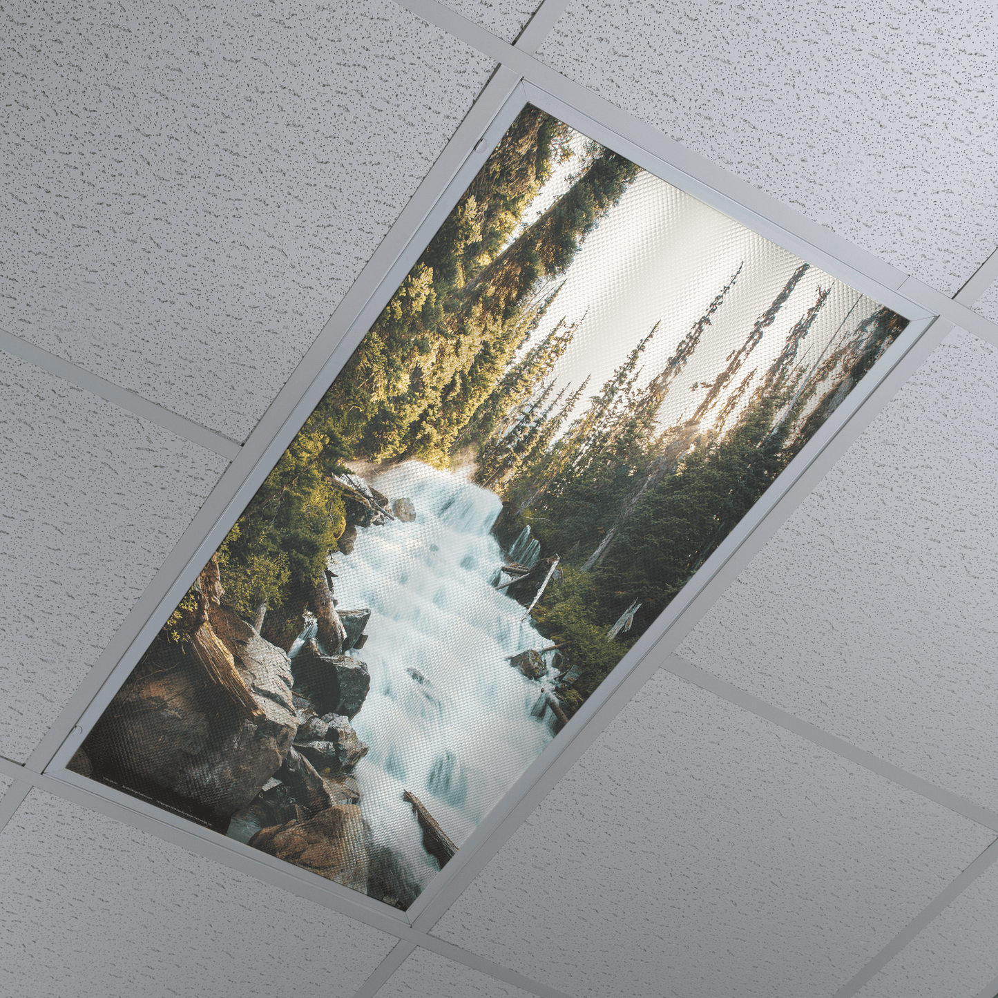 DesignScape - 2'x4' Waterglades - Apollo Design Made