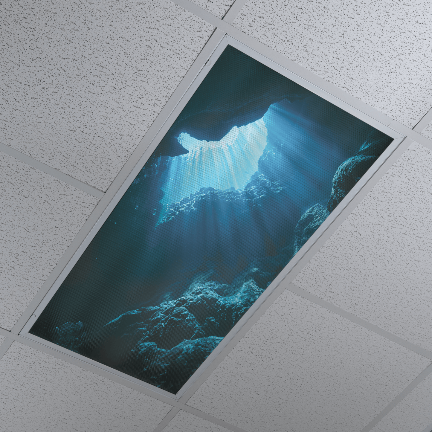 DesignScape - 2'x4' We Sea You - Apollo Design Made
