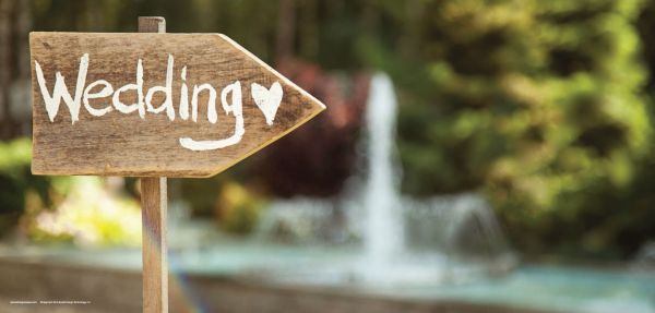 DesignScape - 2'x4' Wedding Sign - Apollo Design Made