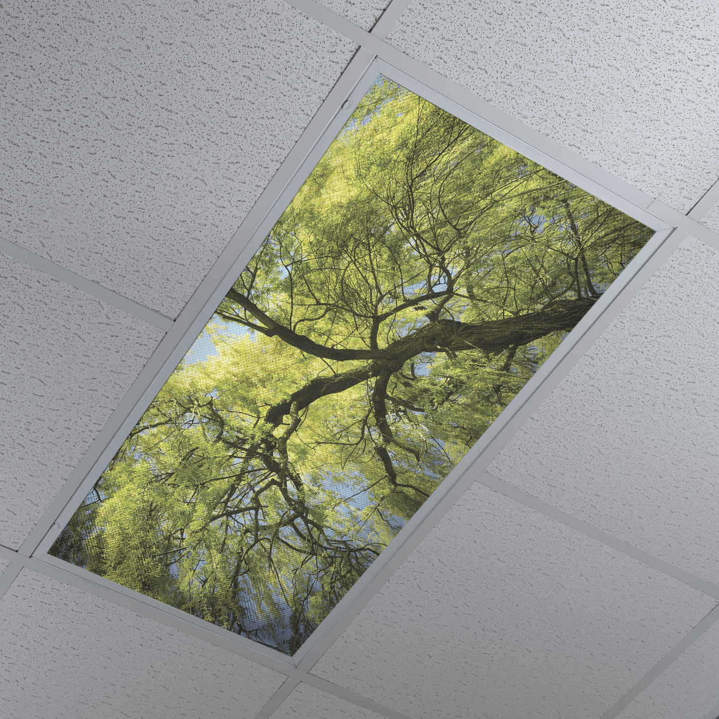 DesignScape - 2'x4' Weeping Willow II - Apollo Design Made