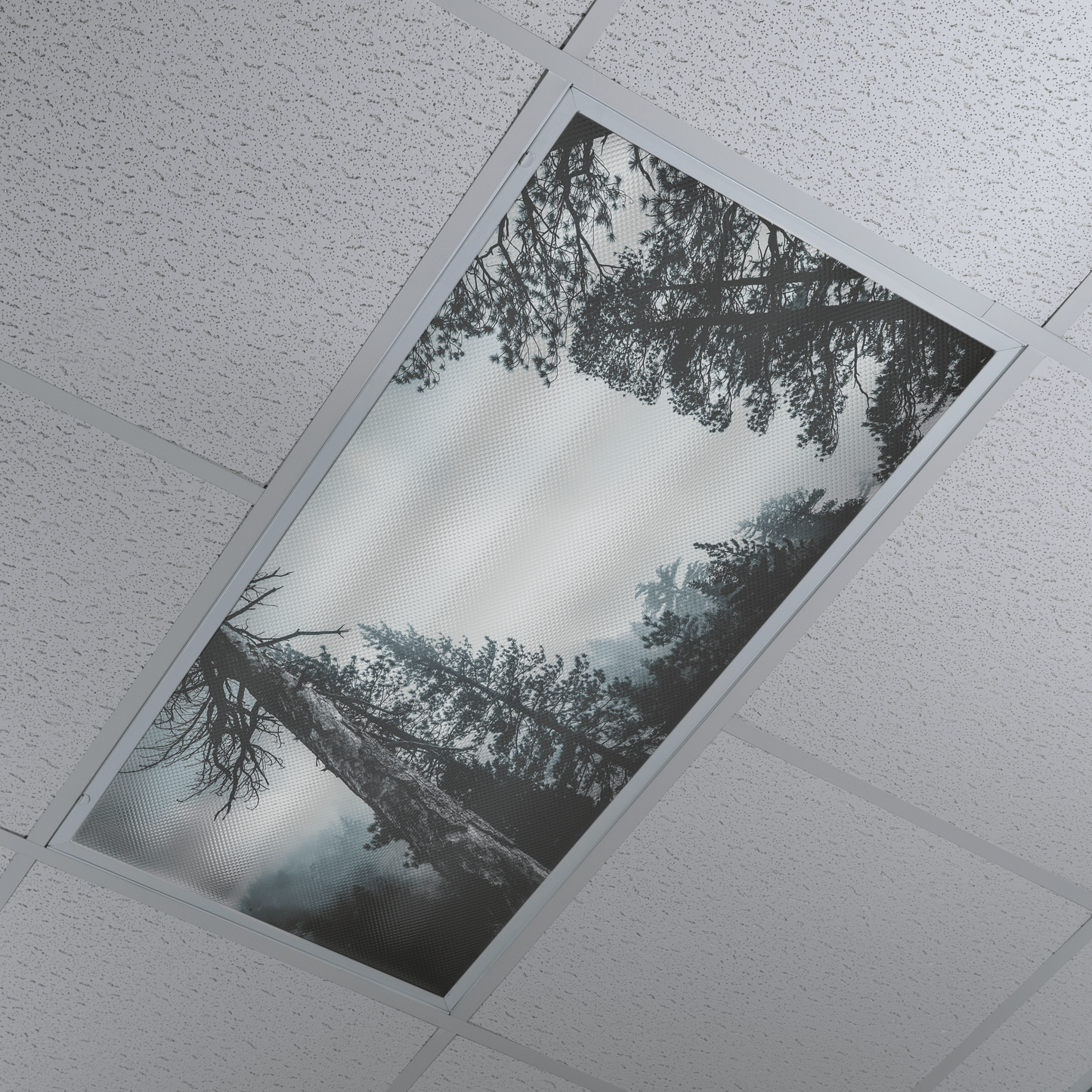 DesignScape - 2'x4' Wooded Haze - Apollo Design Made