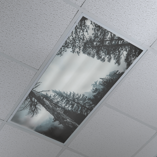 DesignScape - 2'x4' Wooded Haze - Apollo Design Made