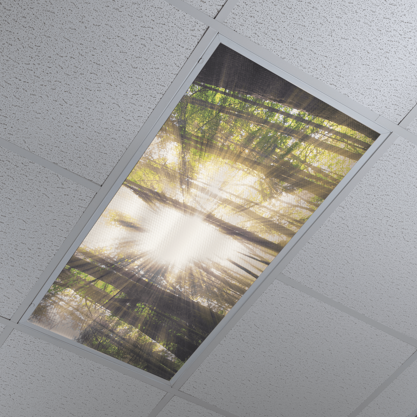 DesignScape - 2'x4' Wooded Light - Apollo Design Made