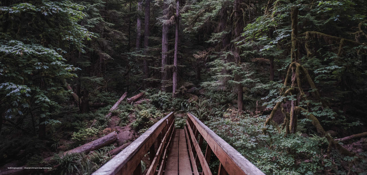 DesignScape - 2'x4' Woodsy Walk - Apollo Design Made
