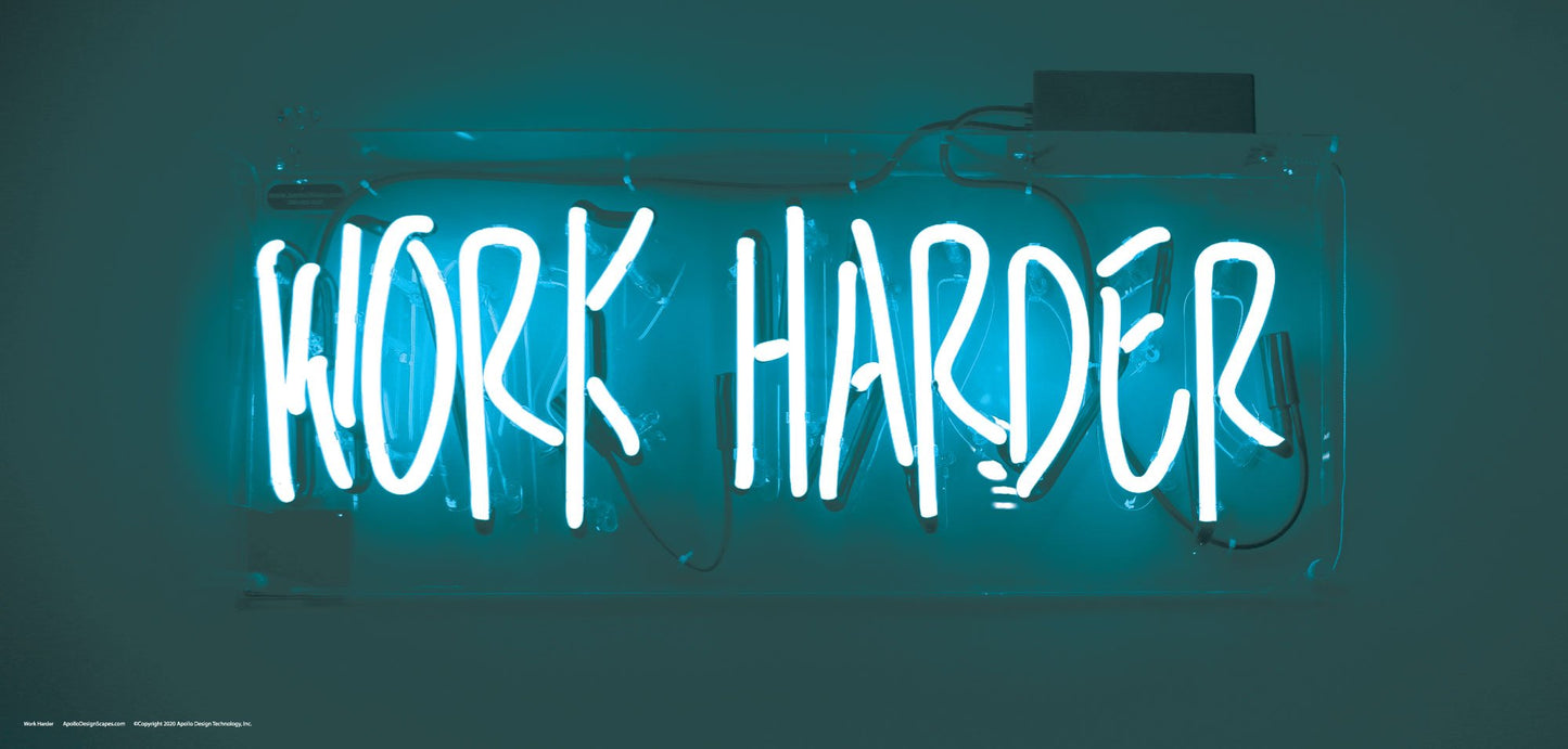DesignScape - 2'x4' Work Harder - Apollo Design Made
