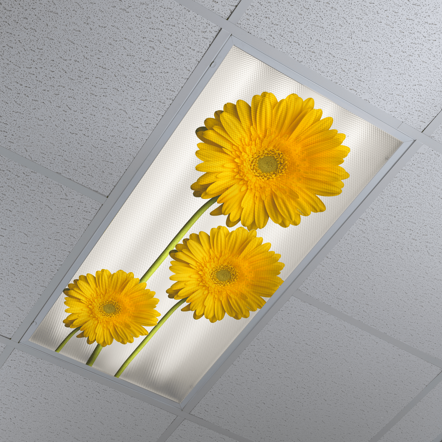 DesignScape - 2'x4' Yellow Daisies - Apollo Design Made