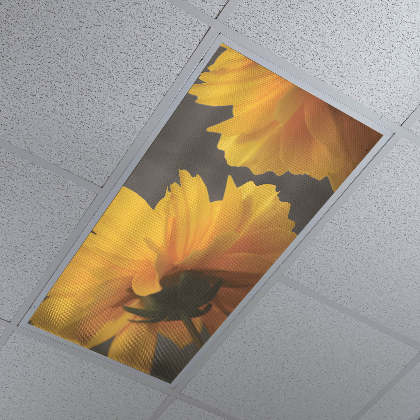 DesignScape - 2'x4' Yellow Sunshine Upclose - Apollo Design Made