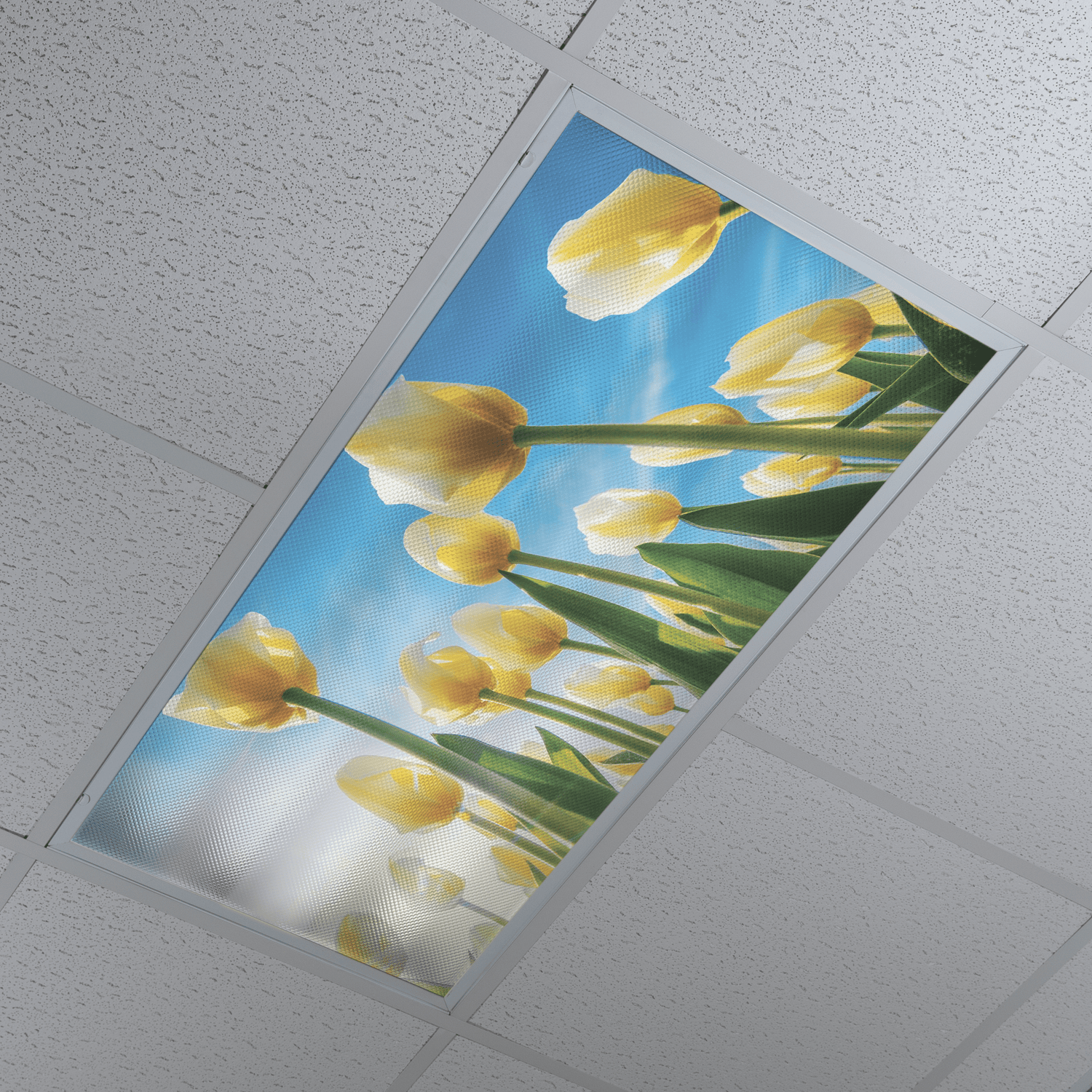 DesignScape - 2'x4' Yellow Tulips - Apollo Design Made