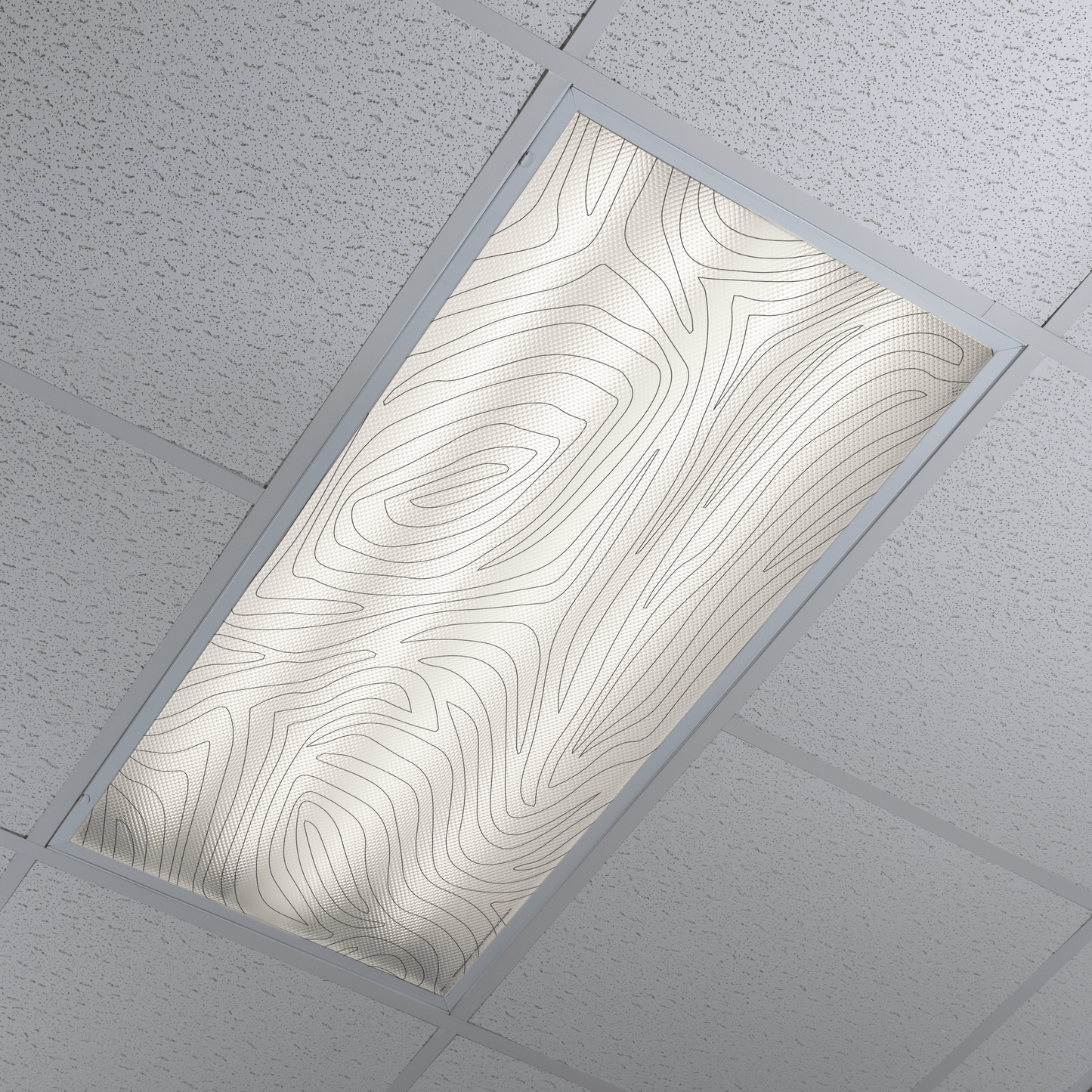 DesignScape - 2'x4' Zebra - Apollo Design Made