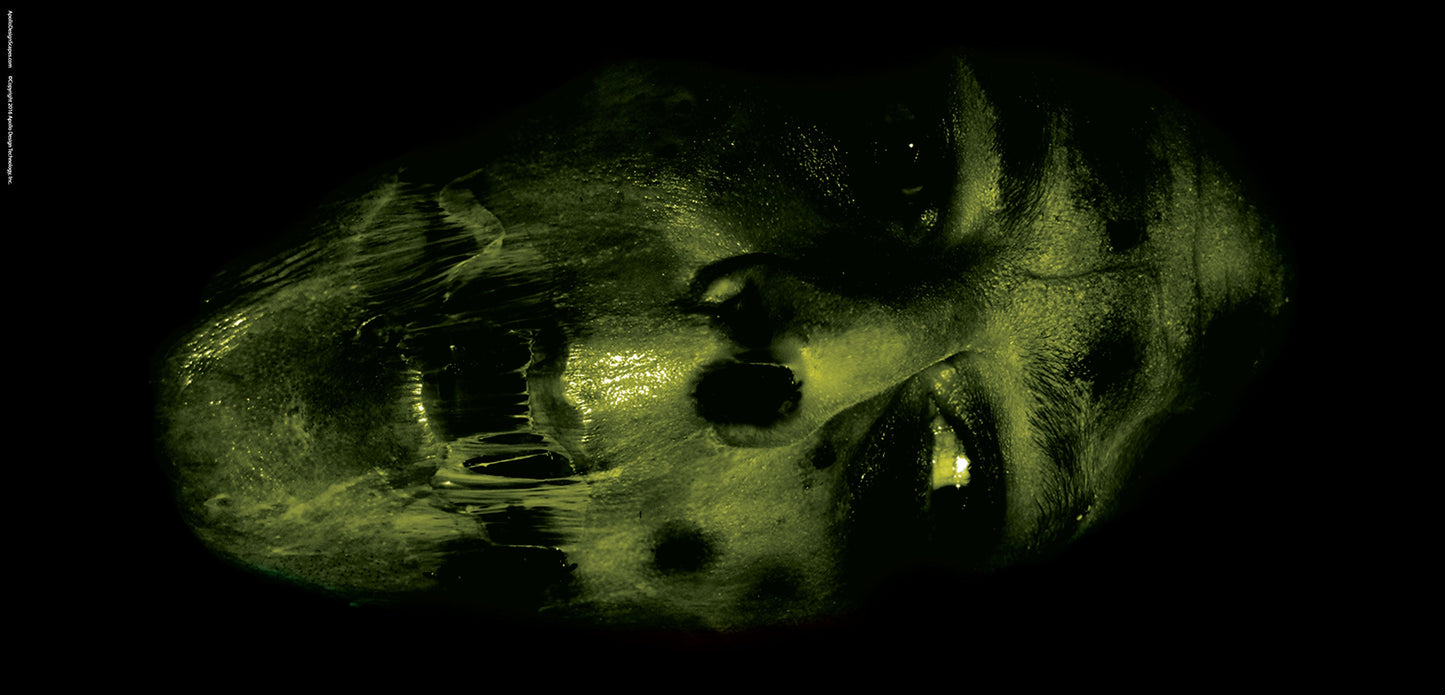 DesignScape - 2'x4' Zombie - Apollo Design Made