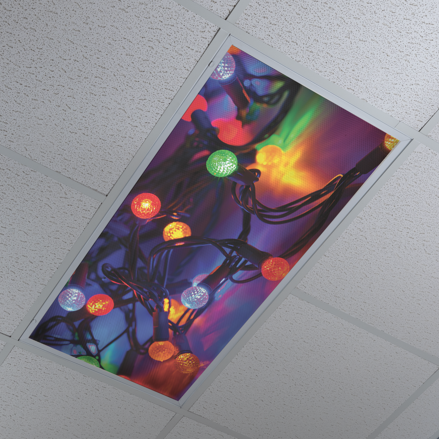 DesignScape - 2'x4' Lights