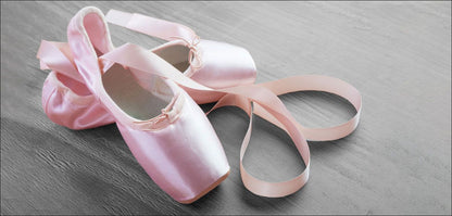 DesignScape - 2'x4' Ballet Slippers - Apollo Design Made