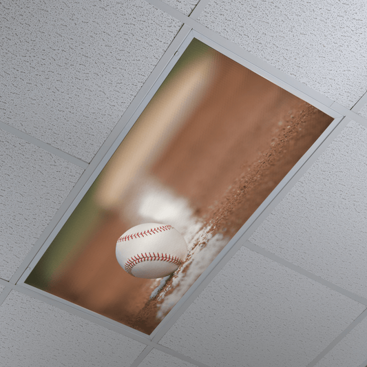 DesignScape - 2'x4' Baseball - Apollo Design Made