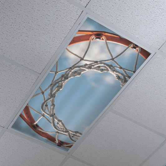 DesignScape - 2'x4' Basketball Rim - Apollo Design Made