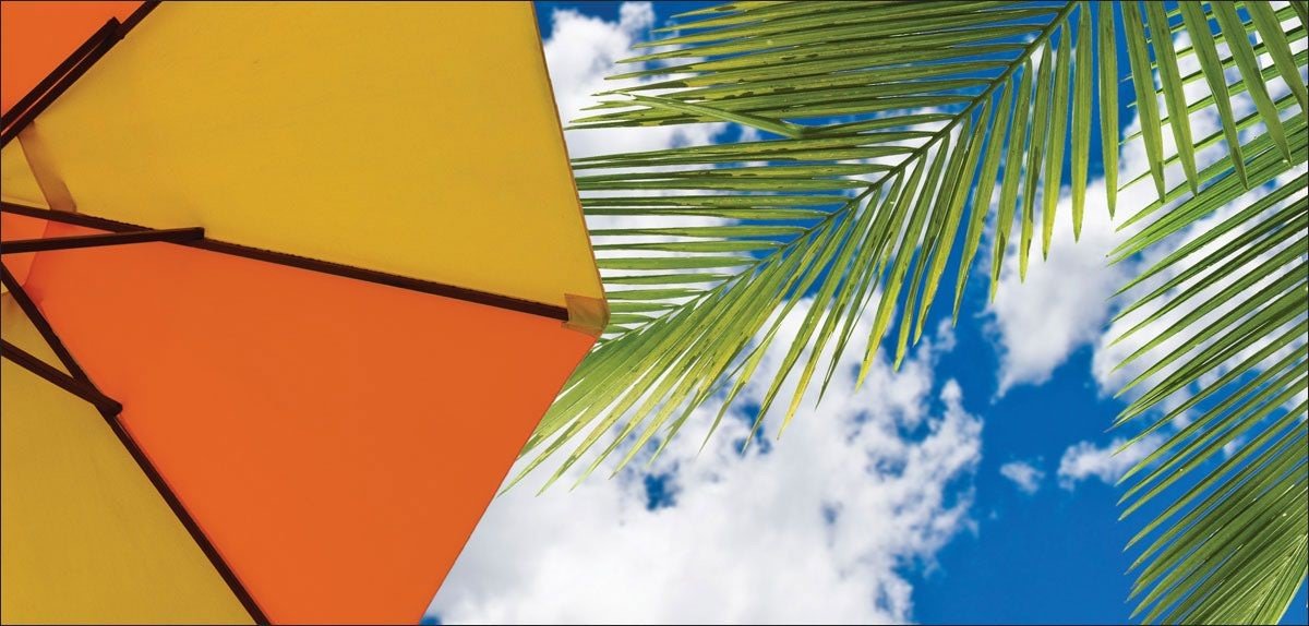 DesignScape - 2'x4' Beach Umbrella - Apollo Design Made