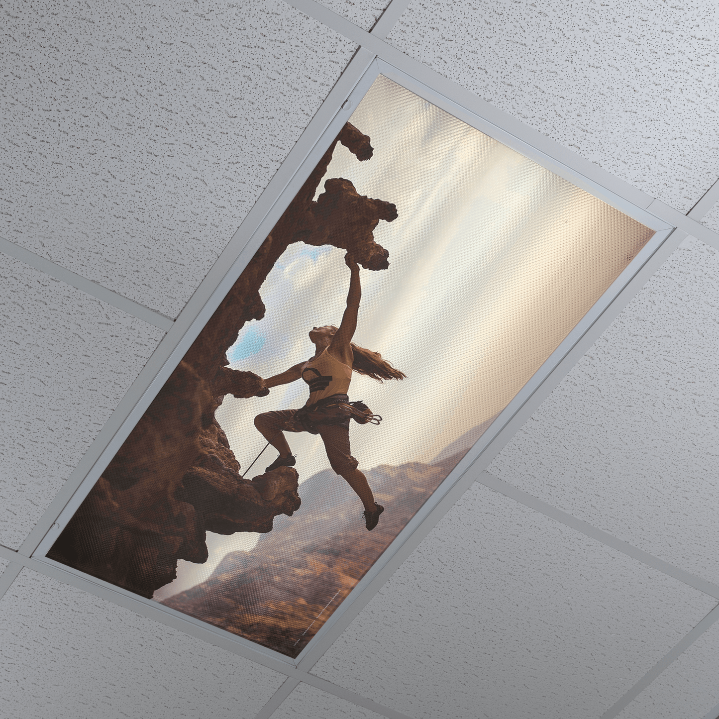 DesignScape - 2'x4' Cliff Climber - Apollo Design Made