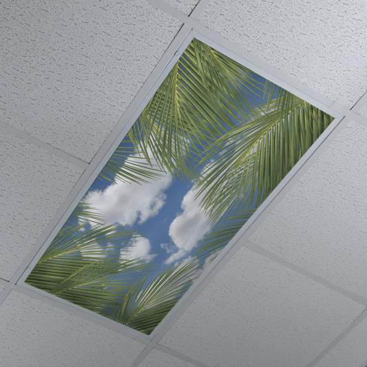 DesignScape - 2'x4' Clouds & Palm Leaves - Apollo Design Made