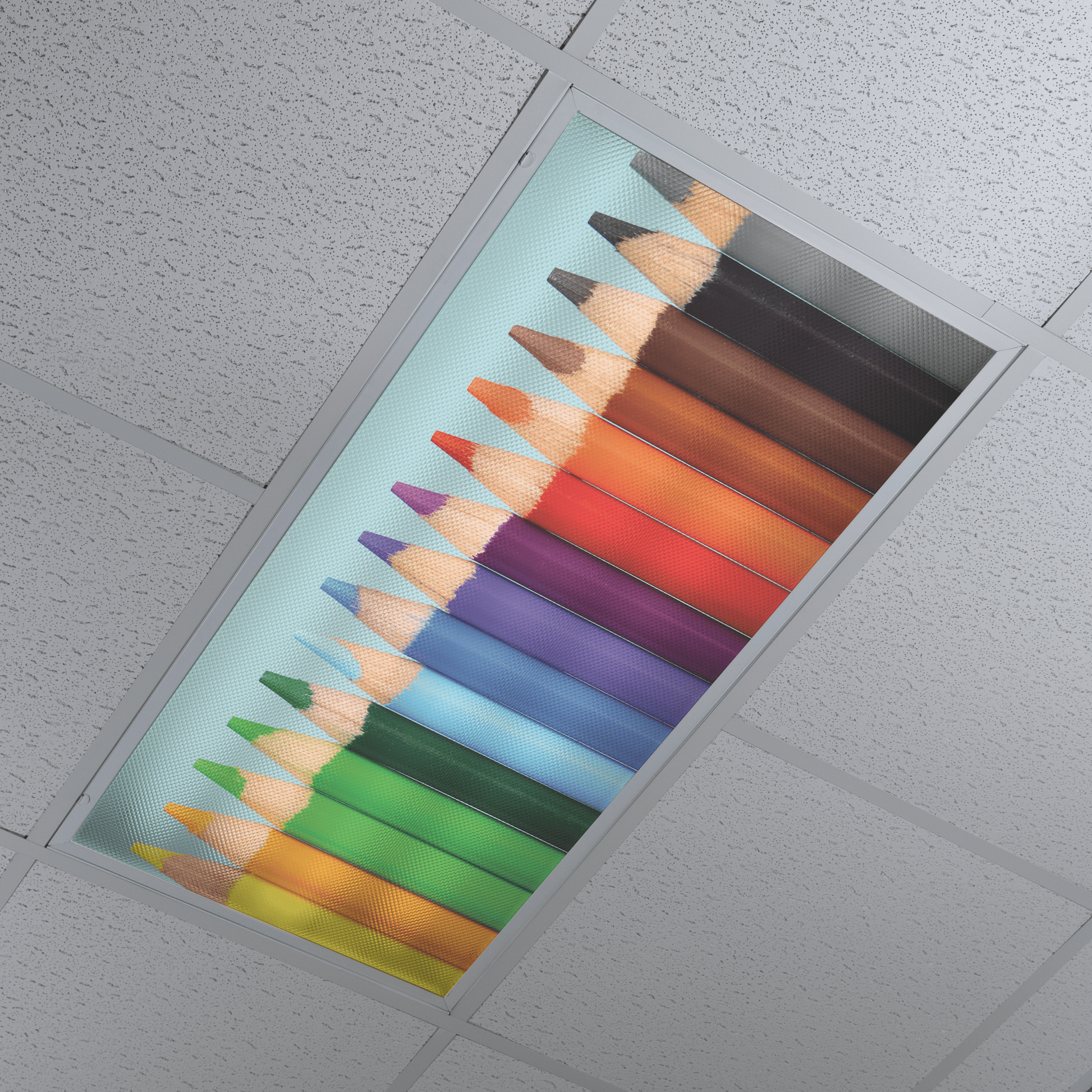 DesignScape - 2'x4' Color Array - Apollo Design Made