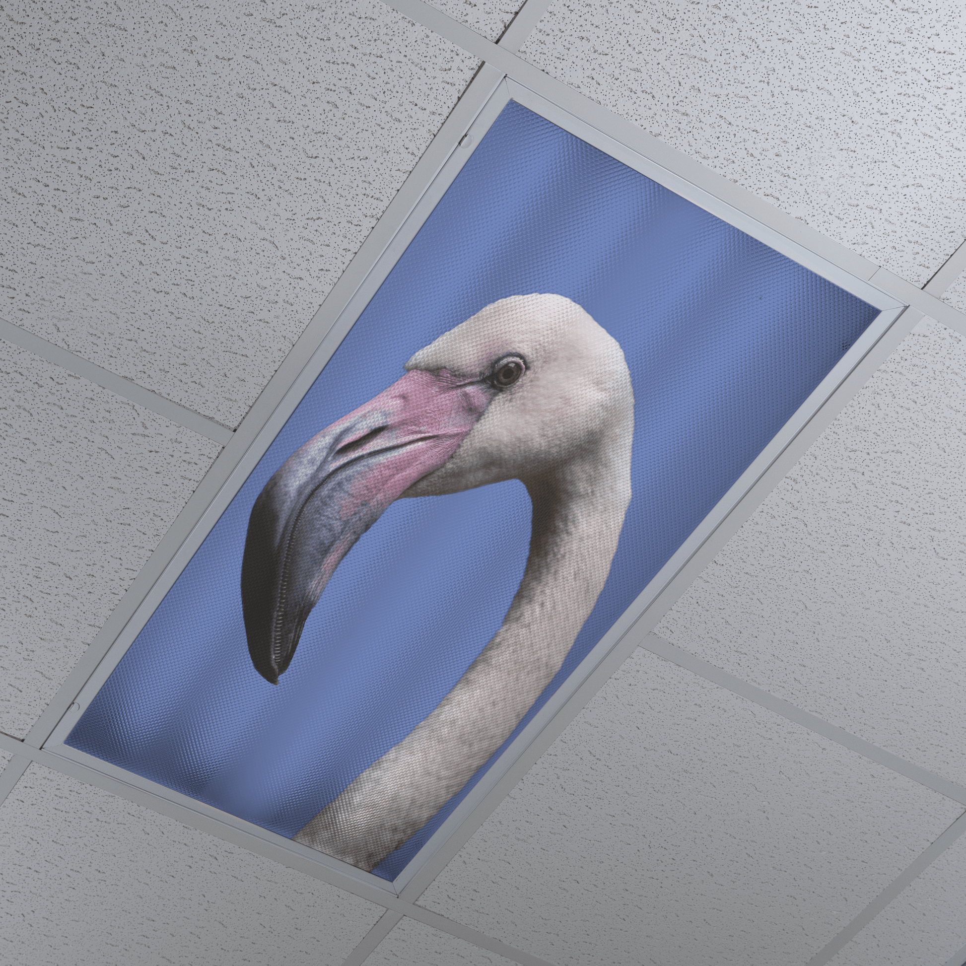DesignScape - 2'x4' Flamingo - Apollo Design Made