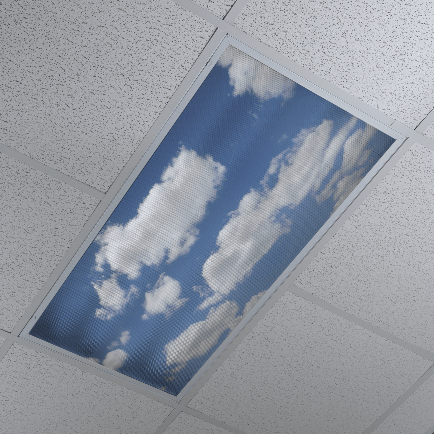 DesignScape - 2'x4' Fluffy Clouds - Apollo Design Made