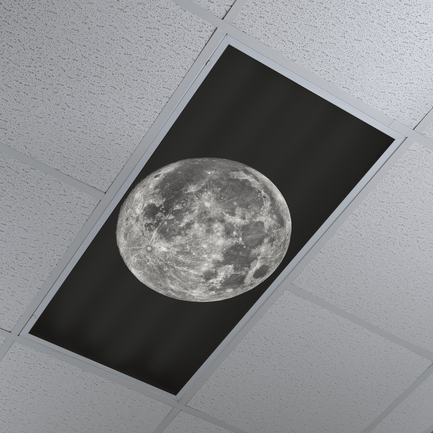 DesignScape - 2'x4' Full Moon - Apollo Design Made