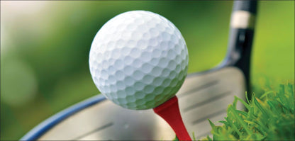 DesignScape - 2'x4' Golf - Apollo Design Made