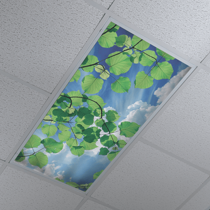 DesignScape - 2'x4' Greenery Sky - Apollo Design Made