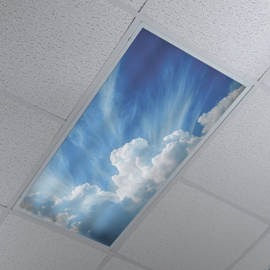 DesignScape - 2'x4' Heavenly Clouds - Apollo Design Made
